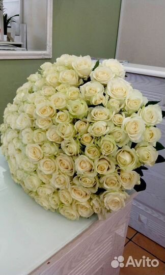 101 белая роза