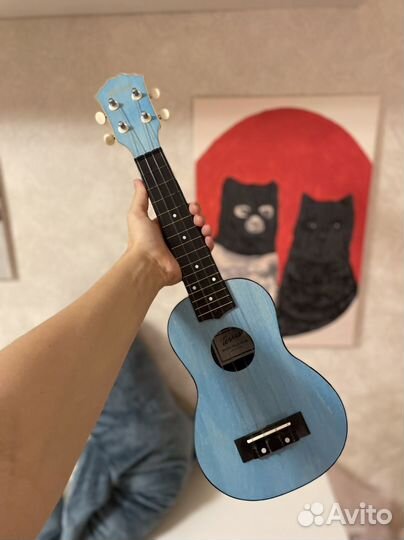 Укулеле terris plus 50 LB сопрано с коробкой