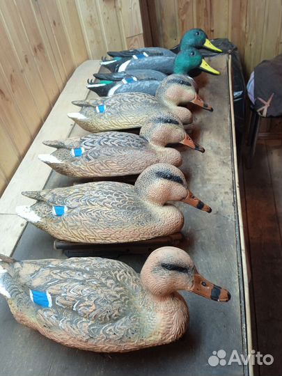 Чучела уток для охоты
