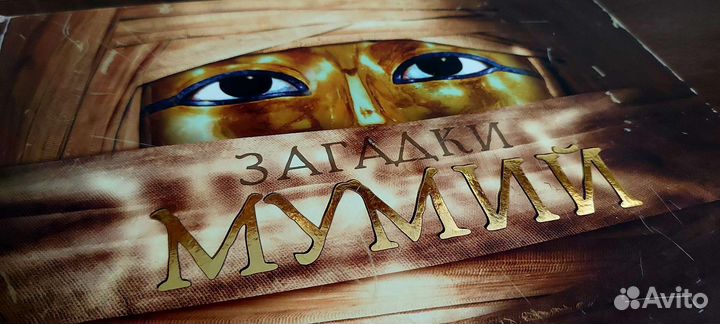 Загадки мумий