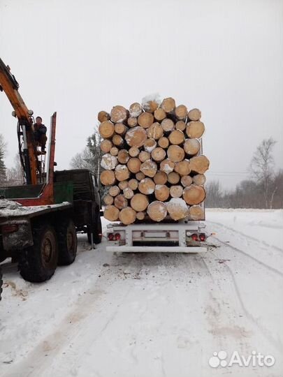 Лес кругляк