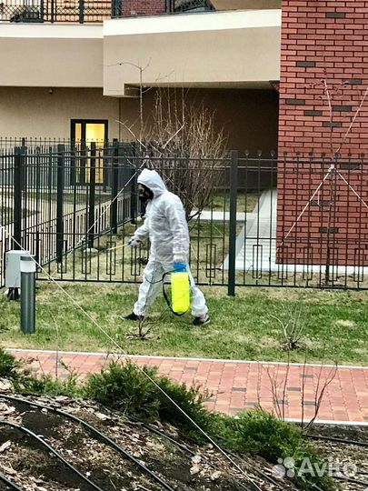 Дезинфекция уничтожение вирусов и бактерий запахов