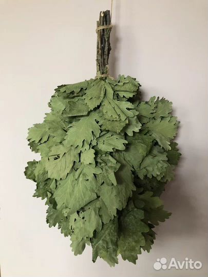 Дубовые веники для бани