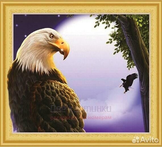 Алмазная мозаика 40x50 Красивый орлан на фоне