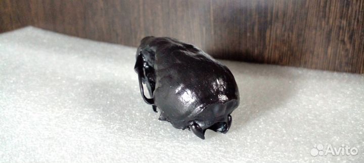 Интерьерный череп черный