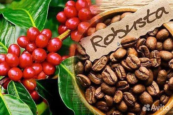 Кофе в зёрнах