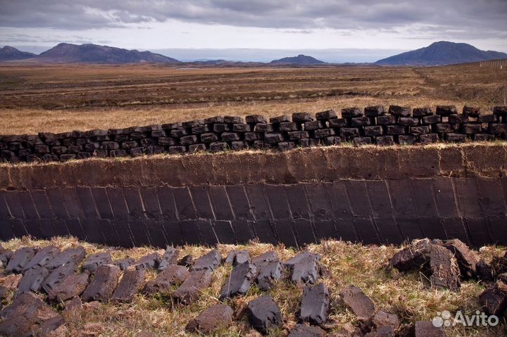 Торф верховой