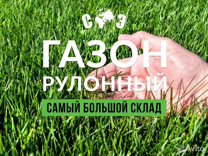 Рулонный газон с укладкой