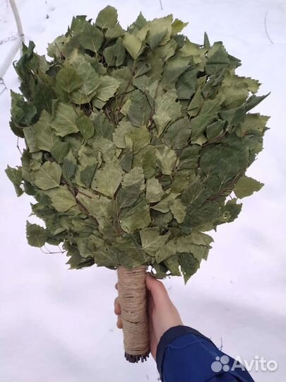 Веники банные