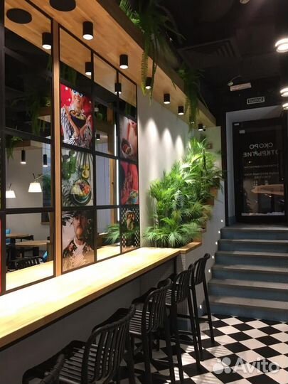 Прибыльная Сеть кафе healthy fast food фудмоллы