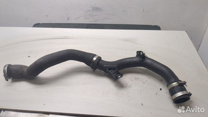 Патрубок интеркулера Ford Focus 3, 2016