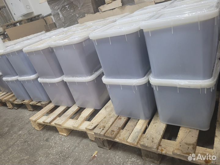 Мед с Алтая