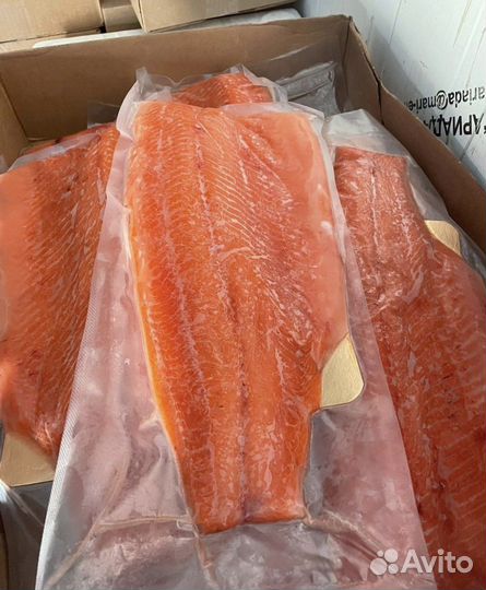 Филе спасты сёмги