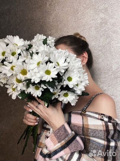 Ромашки, цветы для мамы,хризантема