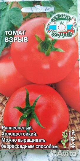 Продам рассаду томатов, перца, огурца, боклажана