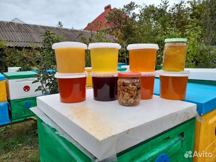 Мед с личной пасеки 2023 года