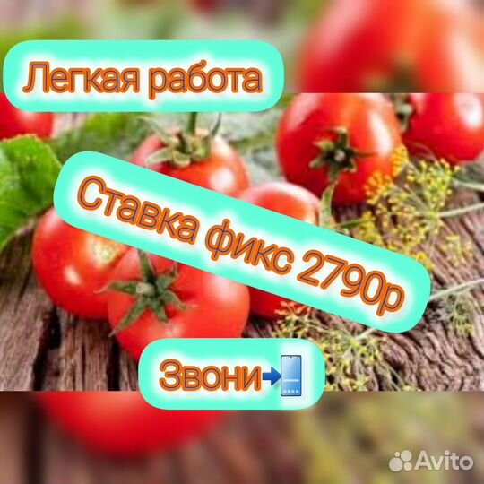 Упаковщик работа вахта проезд+питание+проживание