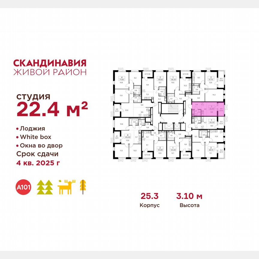 Квартира-студия, 22,4 м², 17/17 эт.