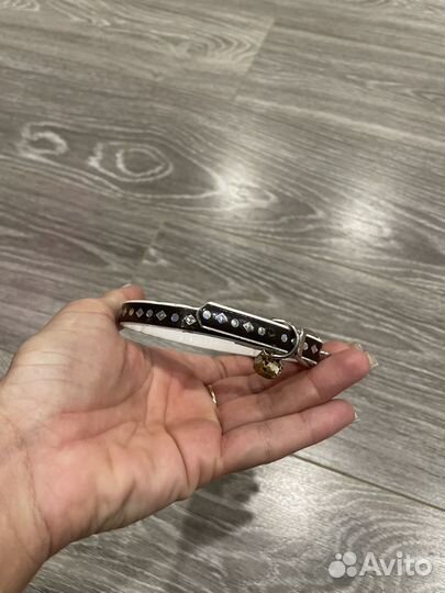 Рулетка для собак