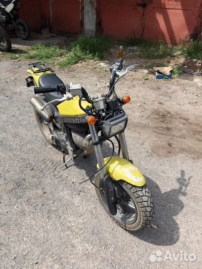 Suzuki street magic