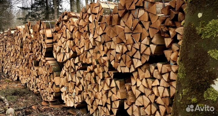 Дрова береза от производителя