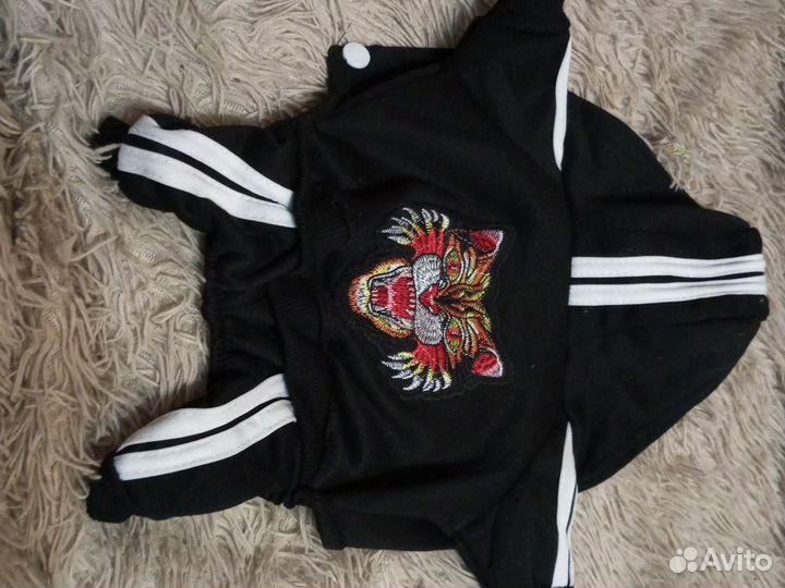 Костюм для собаки