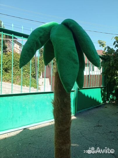 Ногти точка для кошек