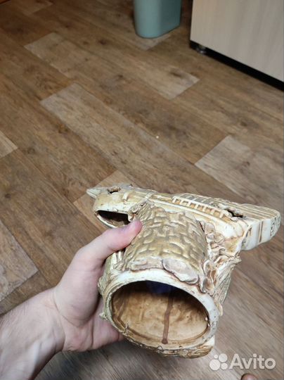 Улитки Хелены