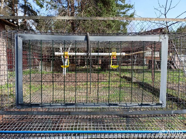 Клетки для несушек