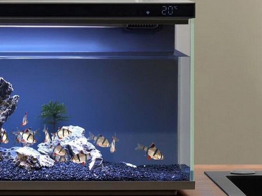 Аквариум Xiaomi Mijia Smart Fish Tank / 20 литров