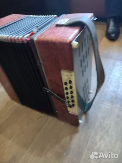 Гармонь Кубань
