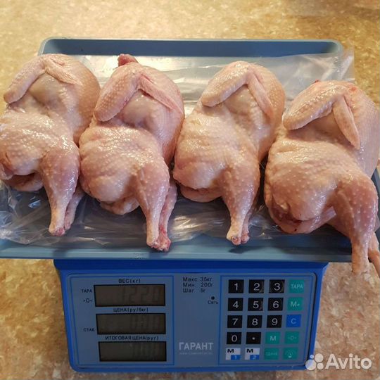 Мясо перепела