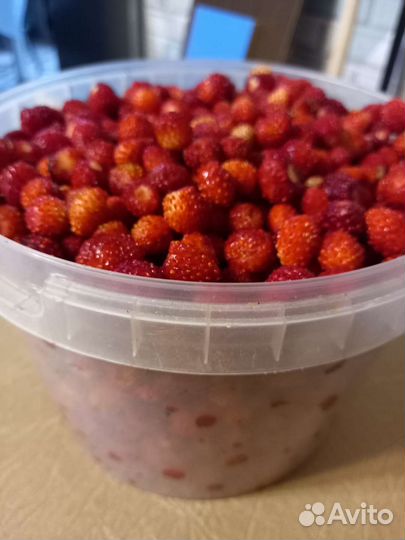 Черника, малина