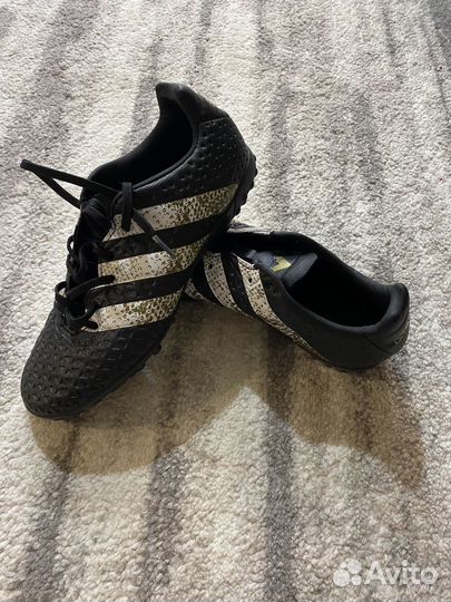 Сороконожки 40