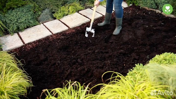 Торф, торфосмесь