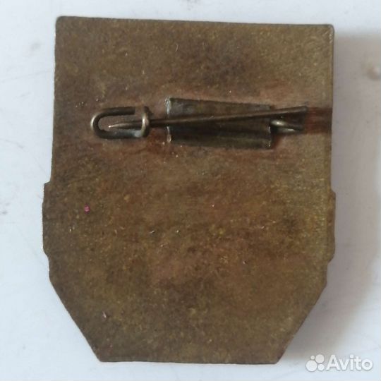 Значок дружинник