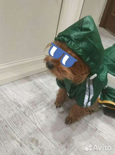 Комбинезон-дождевик