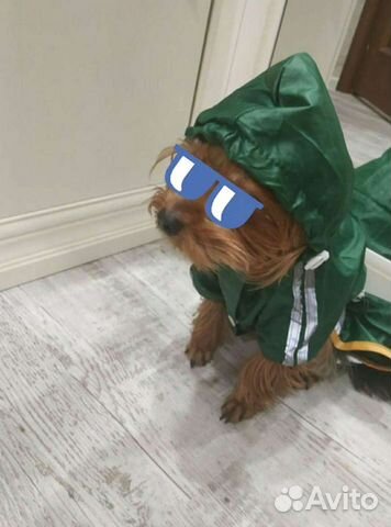 Комбинезон-дождевик