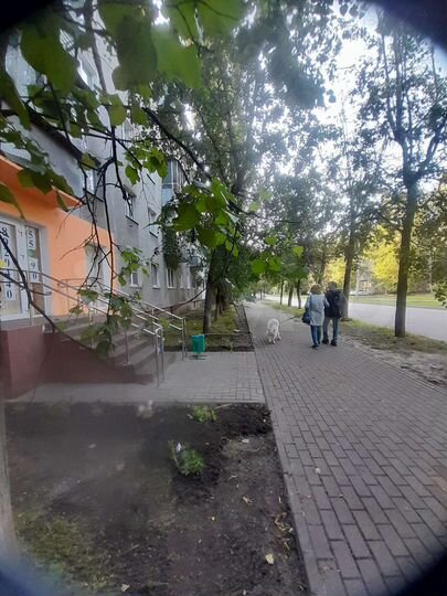 Сдам помещение свободного назначения