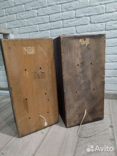 Акустические колонки Вега 50ас-106