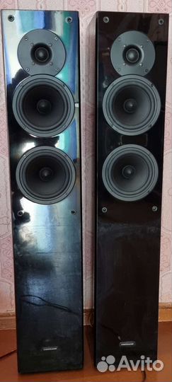 Колонки Cortland