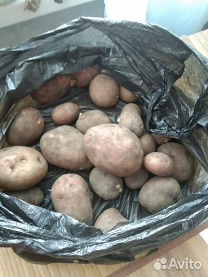 Продам картофель оптом