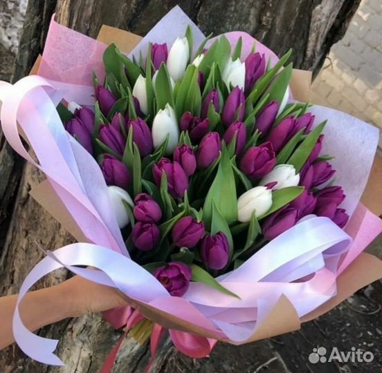 Голландские тюльпаны лучшего качества