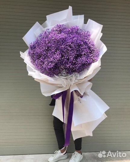 Радужная гипсофила, гигант из гипсофилы, доставка