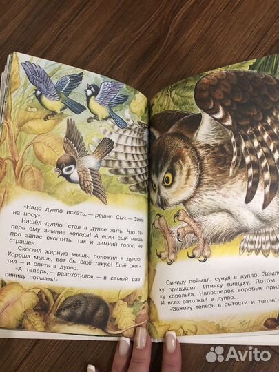 Книга для детей Н.Сладков Лесные сказки