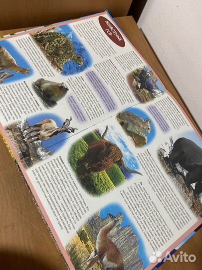 Новый атлас животных