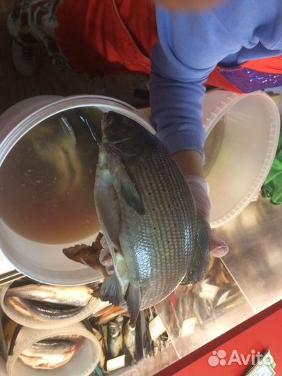 Рыбная лавка продукты домашнего приготовления