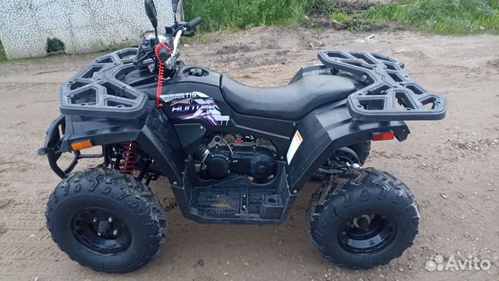 Avantis Hunter 200 Big (2022 г.)