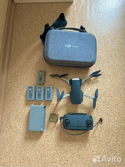 Dji mavic mini se