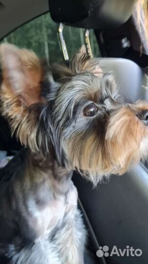 Кабель для вязки